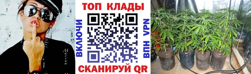 Купить закладку Старица А ПВП  МЕФ  АМФ  кракен рабочий сайт  Конопля 